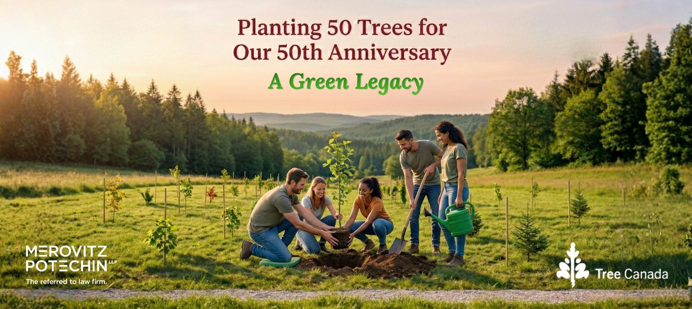 "A group of four people planting trees in a sunlit open field to celebrate the 50th anniversary of Merovitz Potechin LLP. The image shows a central sapling being carefully placed in the ground, surrounded by many other newly planted mini trees to show the scale of the 50-tree project. The landscape features rolling green hills and a dense forest background, with the Merovitz Potechin LLP and Tree Canada logos positioned in the corners."